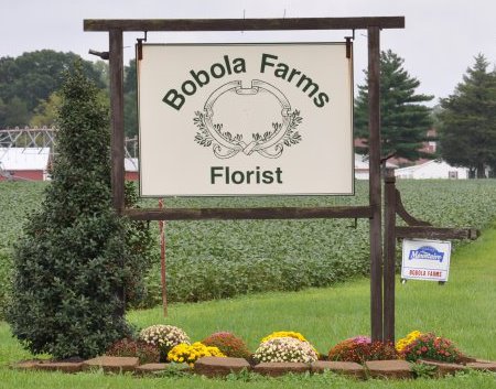 Bobola-Farm-Florist-1