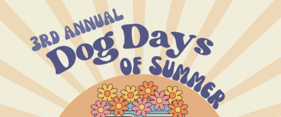 dog-days-summer