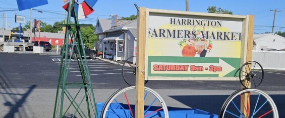 harrington-farmers-market