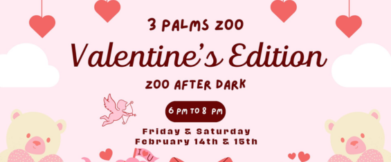 3-palms-valentines