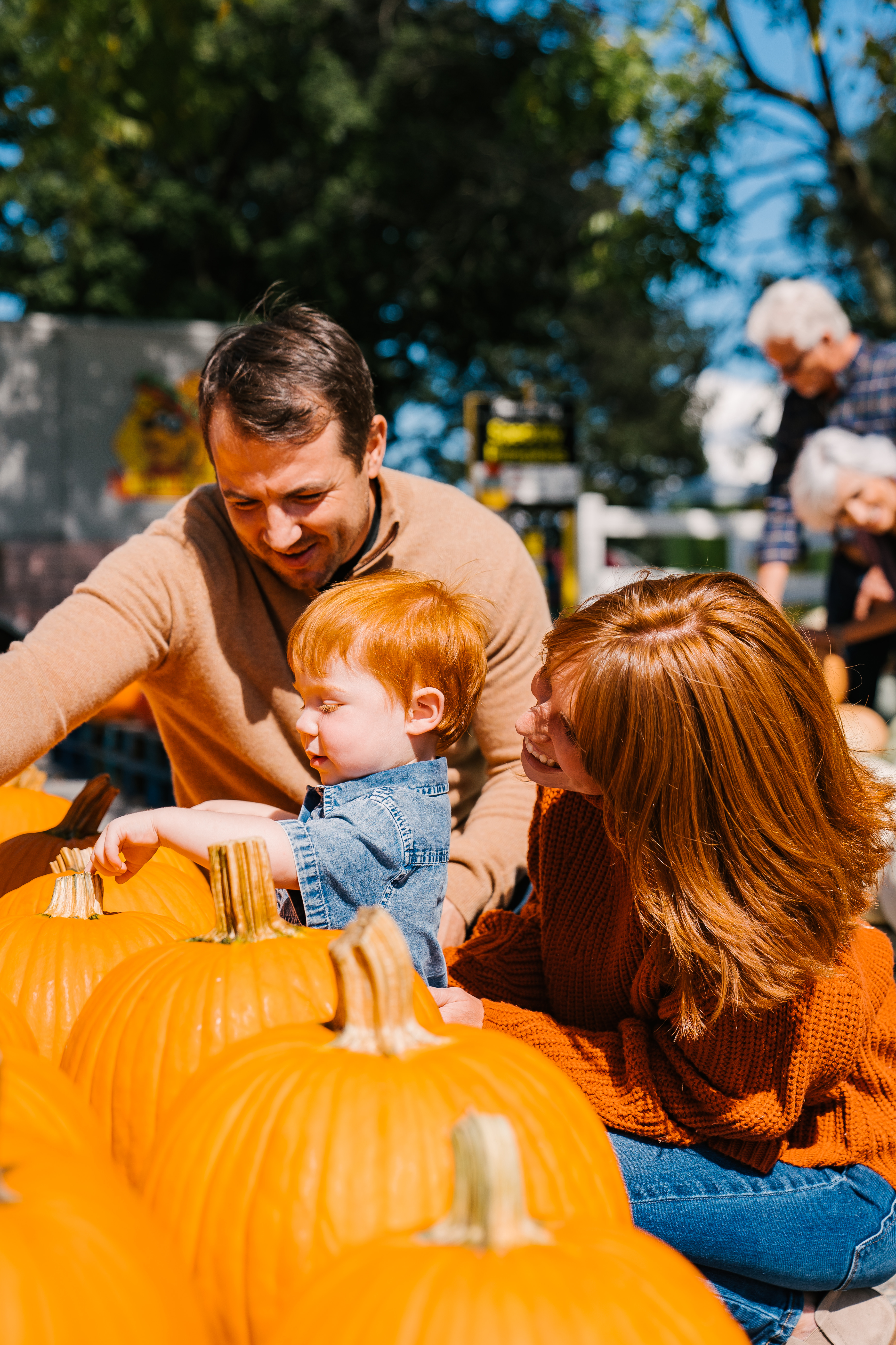 Family-Picking-Pumpkins