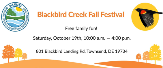 blackbird-creek-fall-fest-24