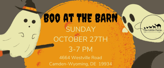 boo-at-the-barn