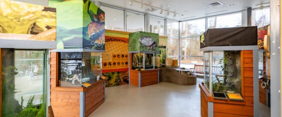 killens-nature-center-interior