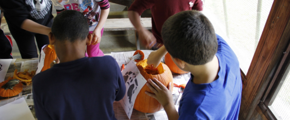 killens-pumpkin-carving