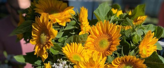 sunflower-bouquet