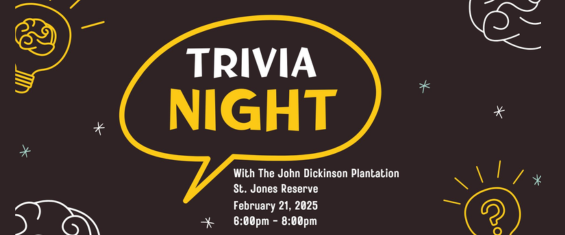 trivia-night