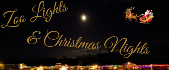 zoo-lights-and-chrismtas-nights